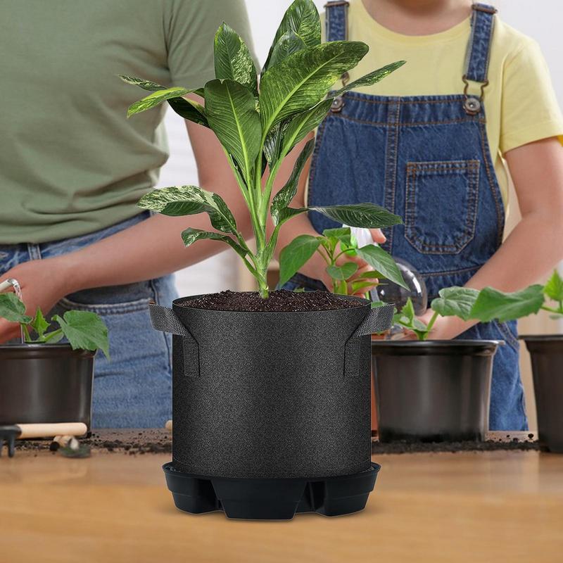 Auto Watering For Plants Indoo - Succulent Planter Pot avaliação e preço