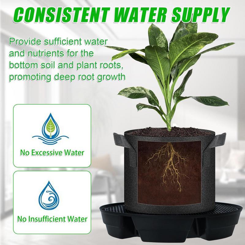 Auto Watering For Plants Indoo - Succulent Planter Pot avaliação e preço