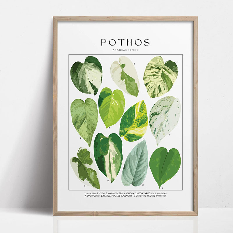 1pc Modern Houseplants Leaves  - Home Decor Design Interior avaliação e preço