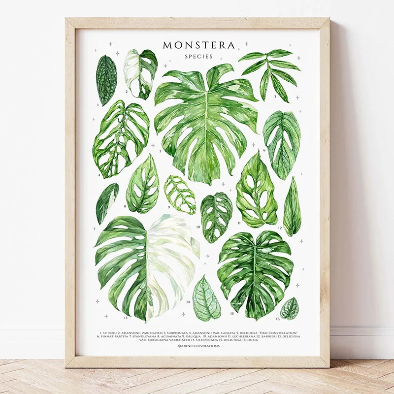 1pc Modern Houseplants Leaves  - Home Decor Design Interior avaliação e preço