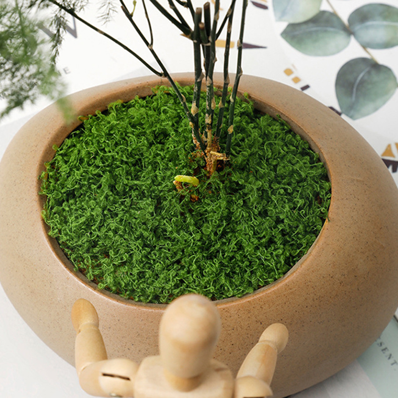 about 20g Artificial Green Pla - Home Decor Handicraft avaliação e preço