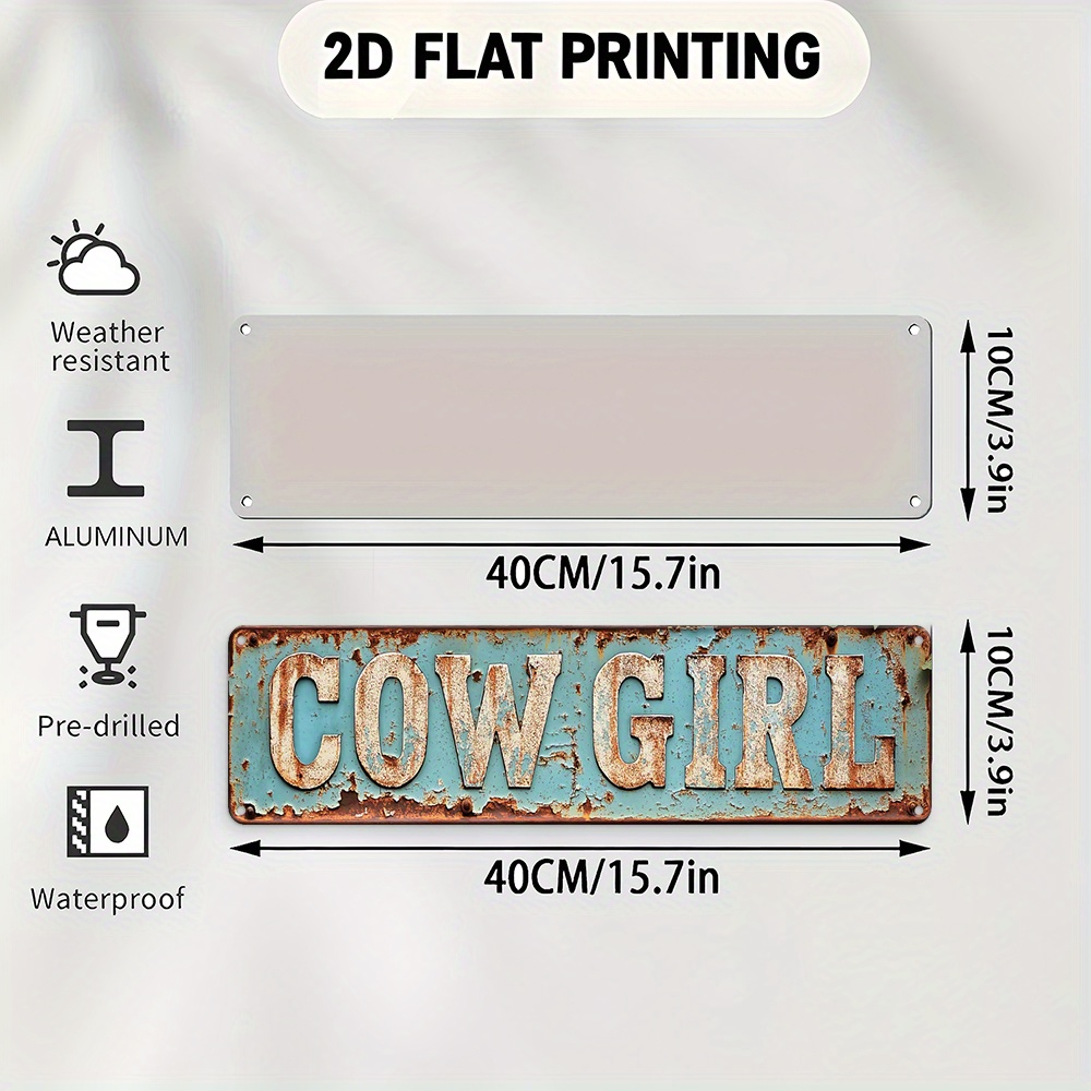 2D Metal Cowgirl Wall Art - Vi - Home Decor Design Interior avaliação e preço