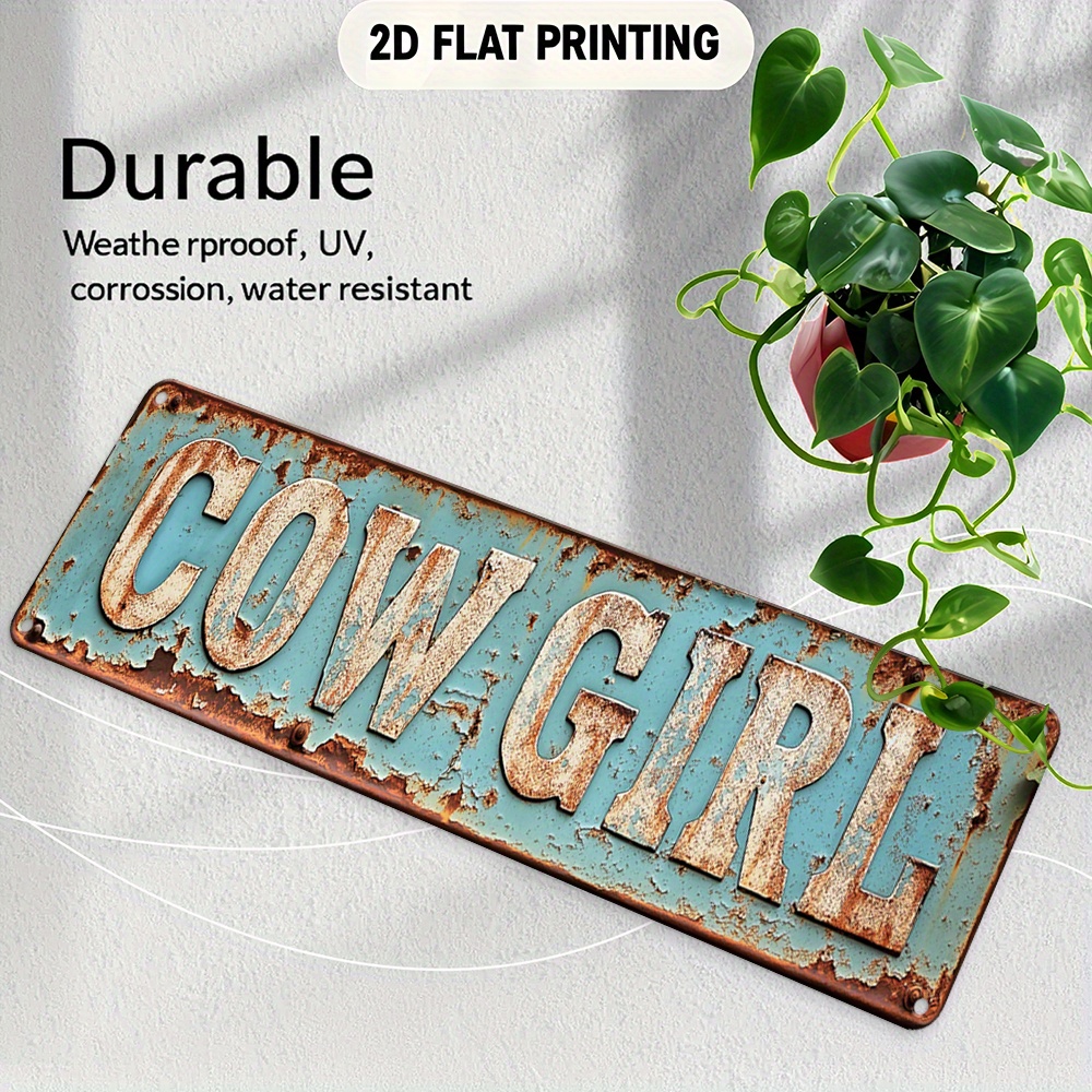 2D Metal Cowgirl Wall Art - Vi - Home Decor Design Interior avaliação e preço