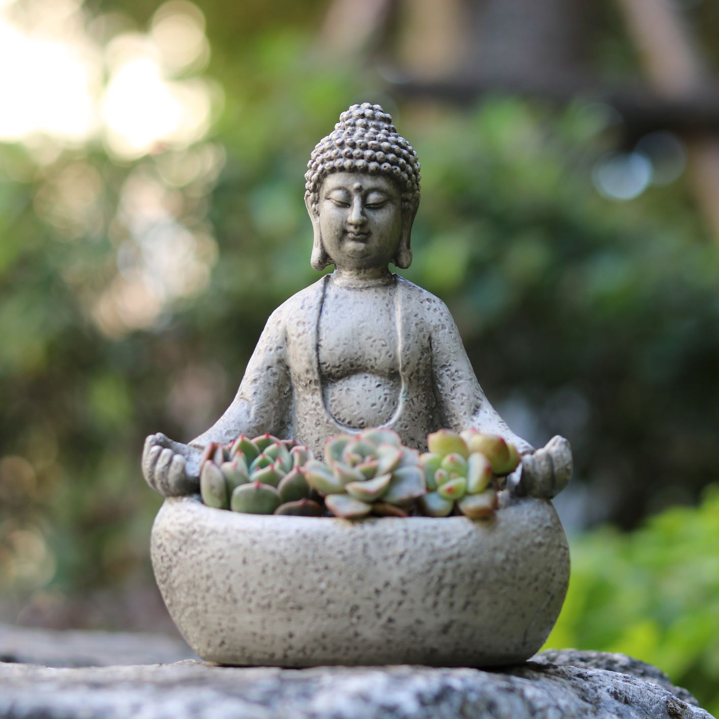 Meditating Buddha Succulent Pl - Succulent Planter Pot avaliação e preço