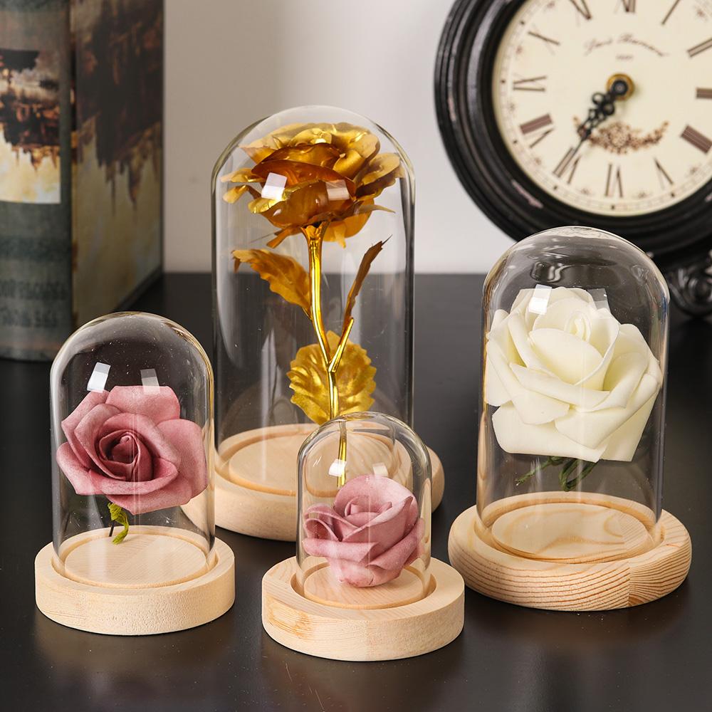 Home Decor Plants Jar Terrariu - Home Decor Vase avaliação e preço