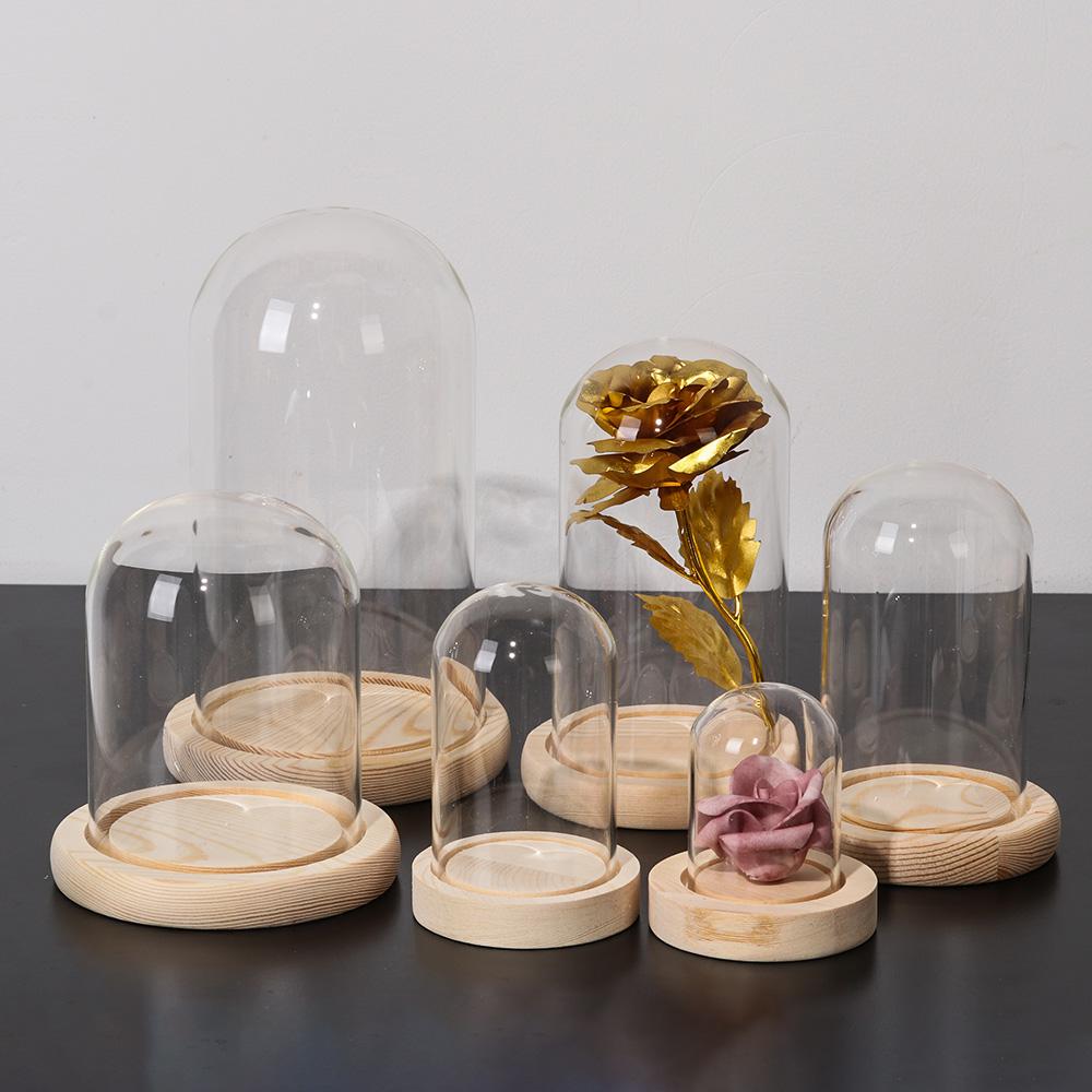 Home Decor Plants Jar Terrariu - Home Decor Vase avaliação e preço