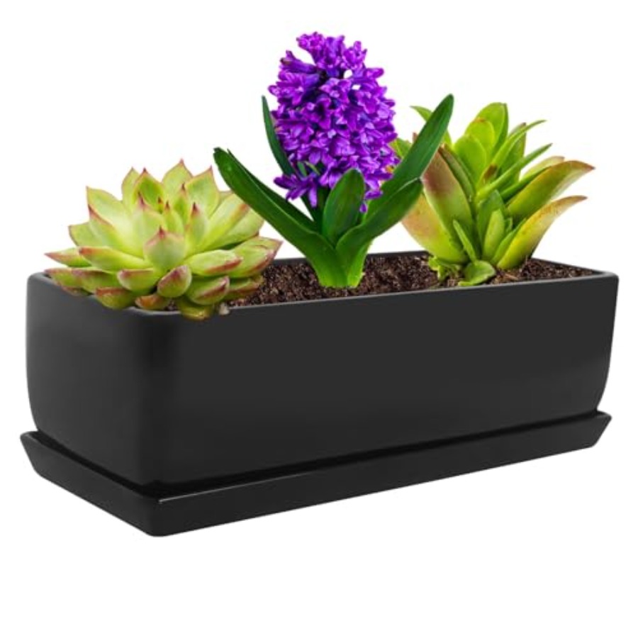 Rectangular Modern Minimalist  - Succulent Planter Pot avaliação e preço