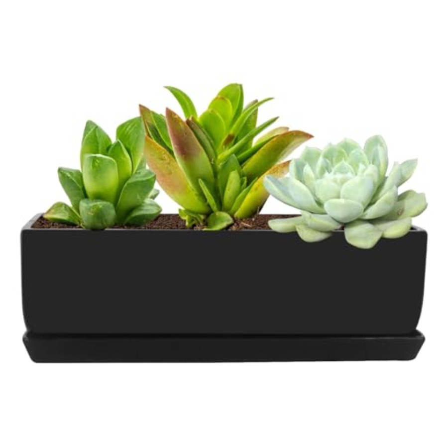 Rectangular Modern Minimalist  - Succulent Planter Pot avaliação e preço