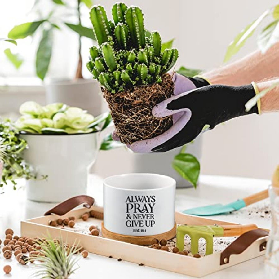 24 Set Christian Easter Gift B - Succulent Planter Pot avaliação e preço