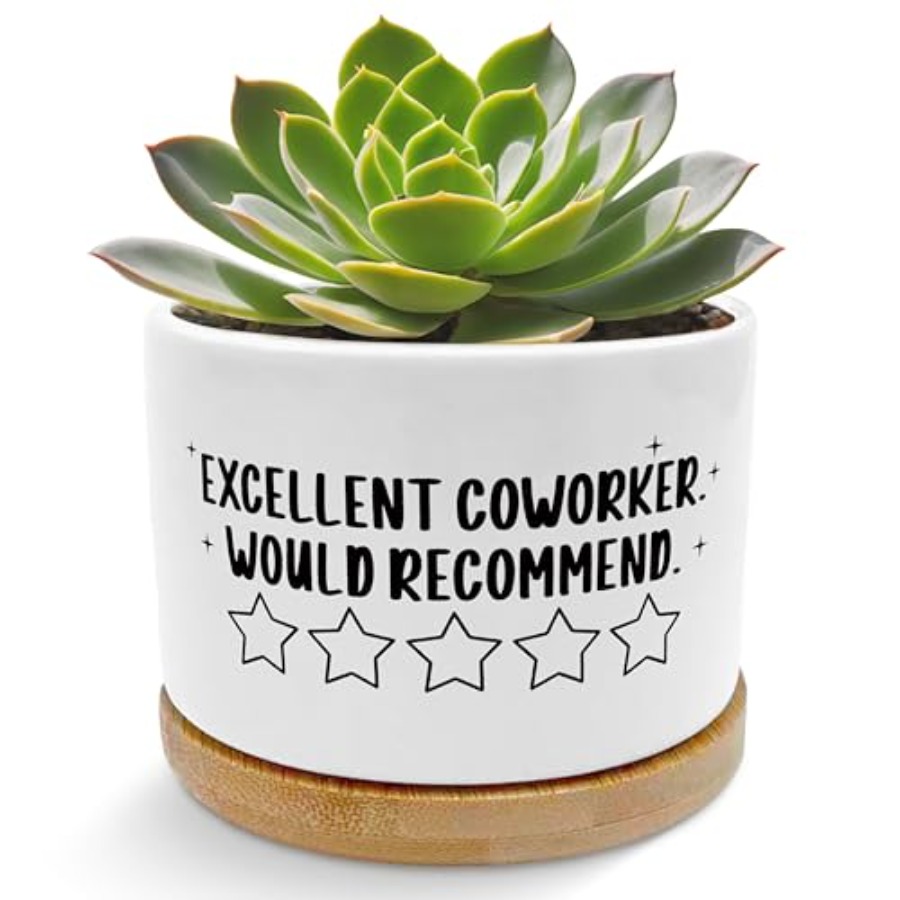Coworker Gifts for Women Men P - Succulent Planter Pot avaliação e preço