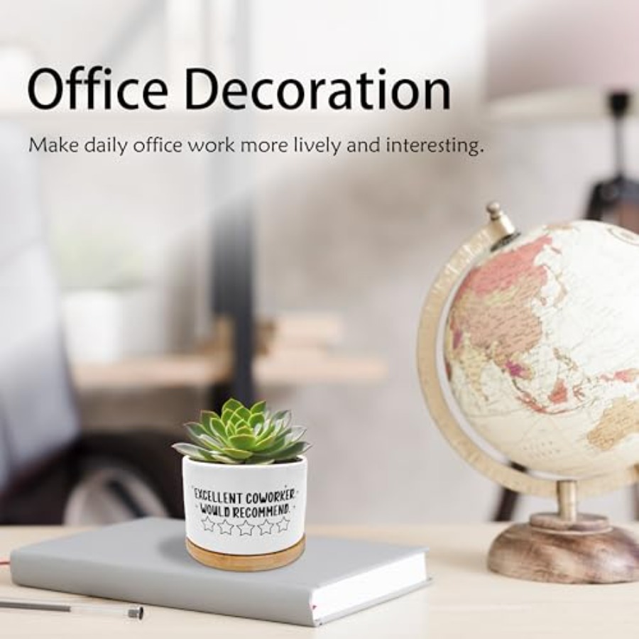 Coworker Gifts for Women Men P - Succulent Planter Pot avaliação e preço