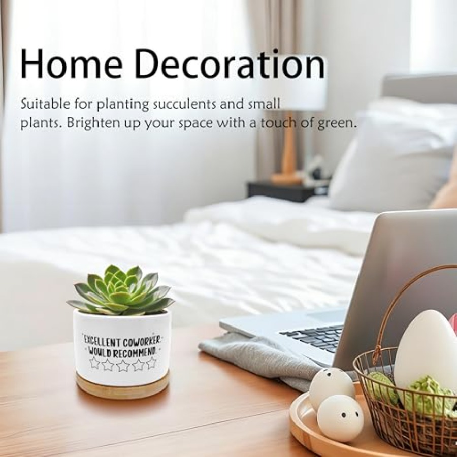 Coworker Gifts for Women Men P - Succulent Planter Pot avaliação e preço