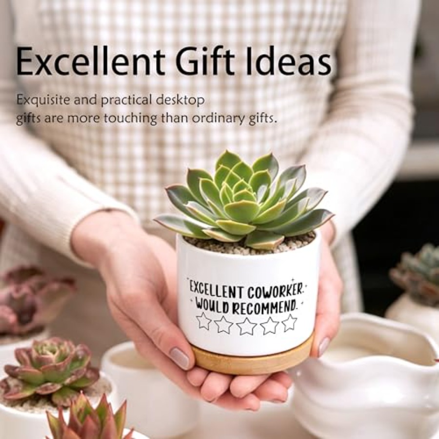 Coworker Gifts for Women Men P - Succulent Planter Pot avaliação e preço
