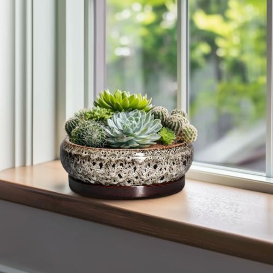 Succulent Pots - Ceramic Bonsa - Succulent Planter Pot avaliação e preço