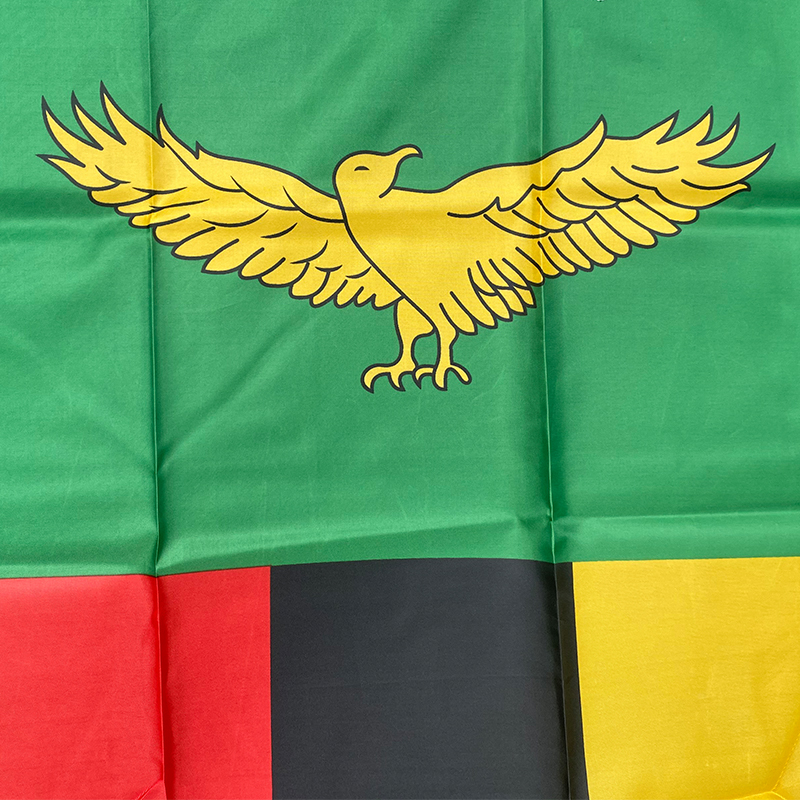 xvggdg   90 x 150cm   Zambia   - Home Decor Zambia avaliação e preço