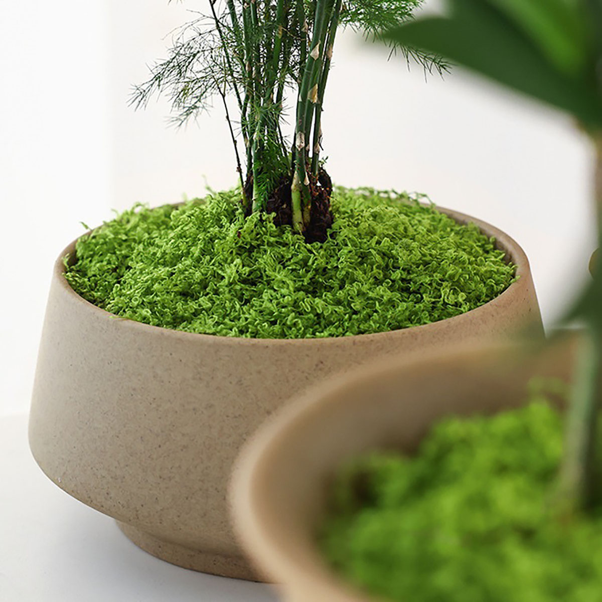about 20g Artificial Green Pla - Home Decor Handicraft avaliação e preço