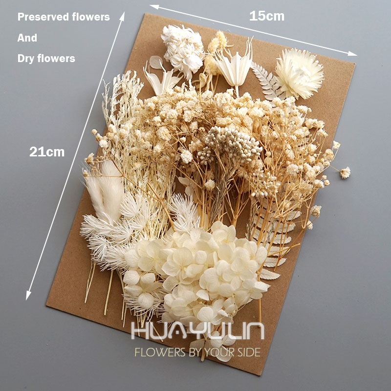 1 Pack Artificial Plants Dried - Home Decor Handicraft avaliação e preço