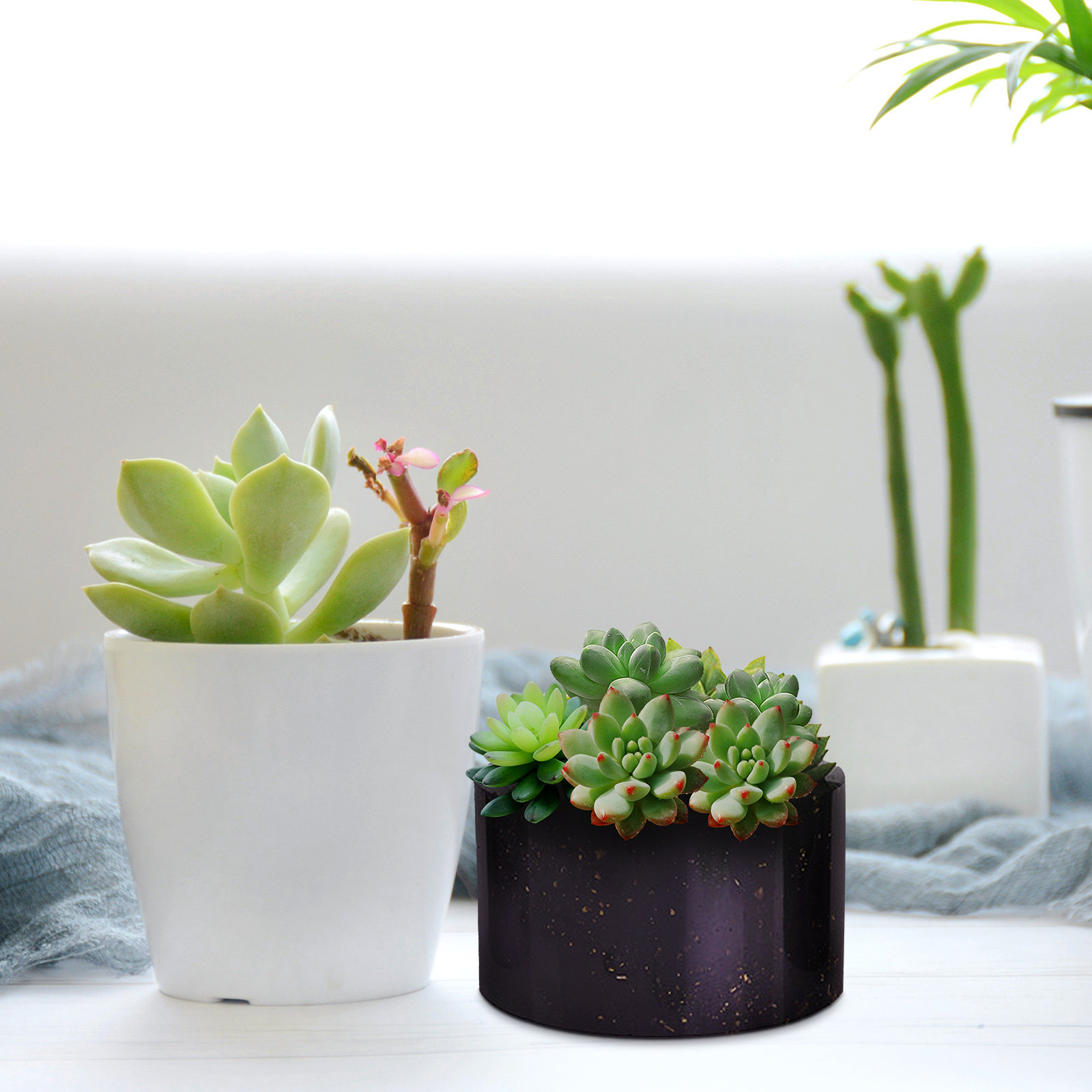 1Pcs Stretchy Heat Resistant S - Succulent Planter Pot avaliação e preço