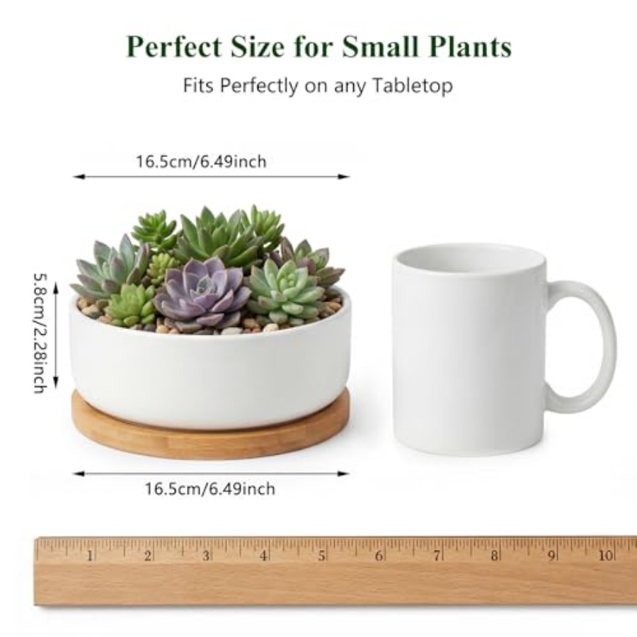 Succulent Pots6 ch Succulent P - Succulent Planter Pot avaliação e preço